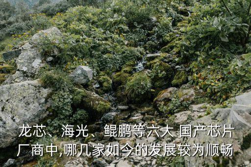  龍芯、海光、鯤鵬等六大 國產(chǎn)芯片廠商中,哪幾家如今的發(fā)展較為順暢