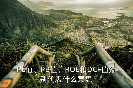 PE值、PB值、ROE和DCF值分別代表什么意思