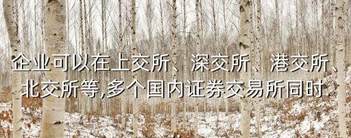 企業(yè)可以在上交所、深交所、港交所、北交所等,多個國內(nèi)證券交易所同時...