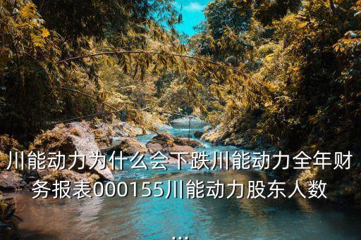 四川西部能源股份有限公司,四川達科特能源科技股份有限公司