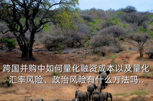 跨國并購中如何量化融資成本以及量化匯率風險、政治風險有什么方法嗎...