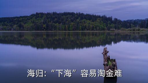  海歸:“下?！比菀滋越痣y