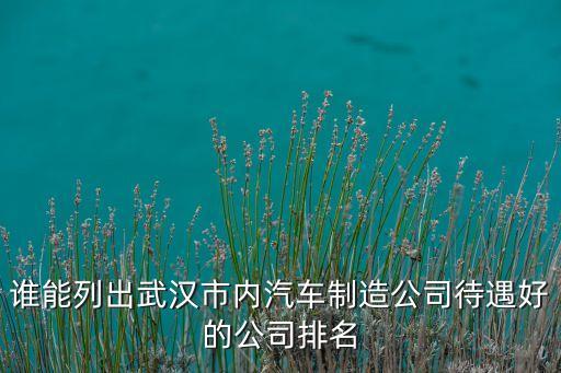 誰能列出武漢市內汽車制造公司待遇好的公司排名