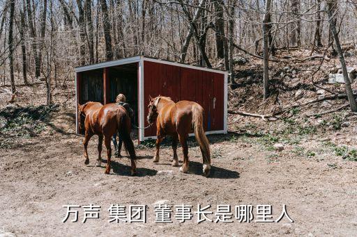 萬元集團(tuán)董事長,陜西環(huán)保集團(tuán)董事長