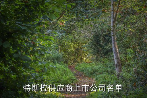 特斯拉供應商上市公司名單