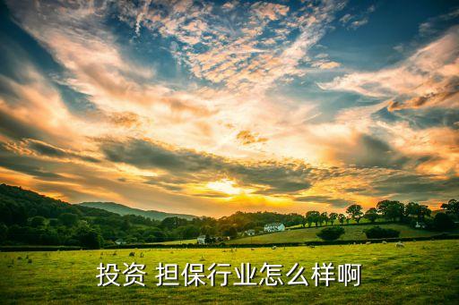 什么是融資擔(dān)?；?海南省融資擔(dān)?；鹩邢挢?zé)任公司