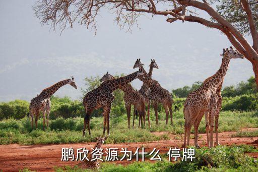 悅達投資會不會停牌