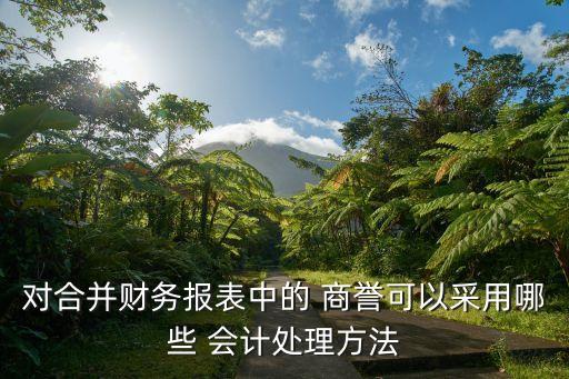 對合并財(cái)務(wù)報(bào)表中的 商譽(yù)可以采用哪些 會(huì)計(jì)處理方法