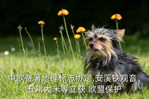 中歐簽署地理標(biāo)志協(xié)定,安溪鐵觀音、五常大米等立獲 歐盟保護(hù)