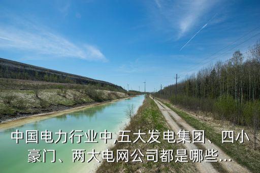 中國電力行業(yè)中,五大發(fā)電集團(tuán)、四小豪門、兩大電網(wǎng)公司都是哪些...