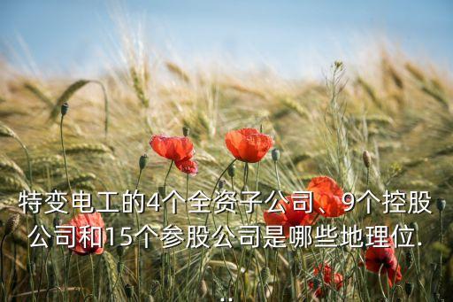 特變電工的4個全資子公司、9個控股公司和15個參股公司是哪些地理位...