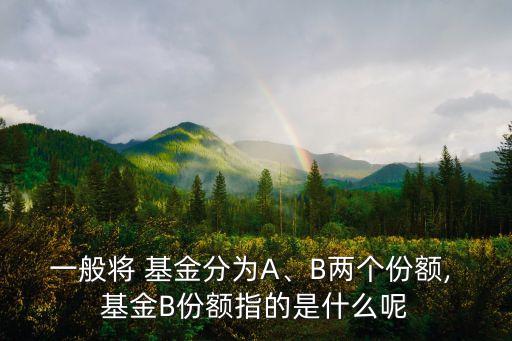 一般將 基金分為A、B兩個(gè)份額, 基金B(yǎng)份額指的是什么呢