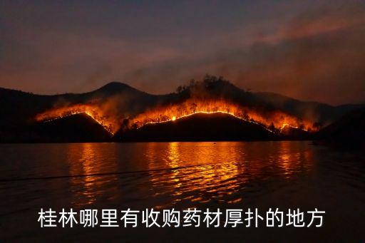 桂林哪里有收購(gòu)藥材厚撲的地方