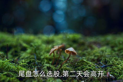 尾盤怎么選股,第二天會(huì)高開(kāi)