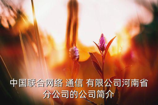 中國聯(lián)合網(wǎng)絡 通信 有限公司河南省分公司的公司簡介