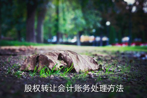 公司支付股權轉讓款,以公司資產支付股權轉讓款