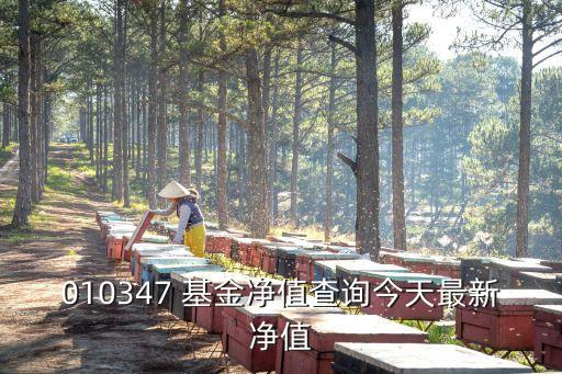 010347 基金凈值查詢(xún)今天最新凈值