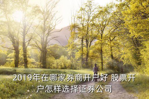 2019年在哪家券商開(kāi)戶好 股票開(kāi)戶怎樣選擇證券公司