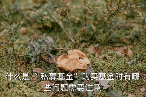 什么是“ 私募基金”購(gòu)買(mǎi)基金時(shí)有哪些問(wèn)題需要注意