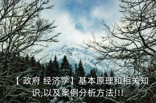【 政府 經(jīng)濟(jì)學(xué)】基本原理和相關(guān)知識,以及案例分析方法!!!