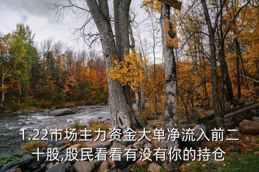 1.22市場(chǎng)主力資金大單凈流入前二十股,股民看看有沒有你的持倉