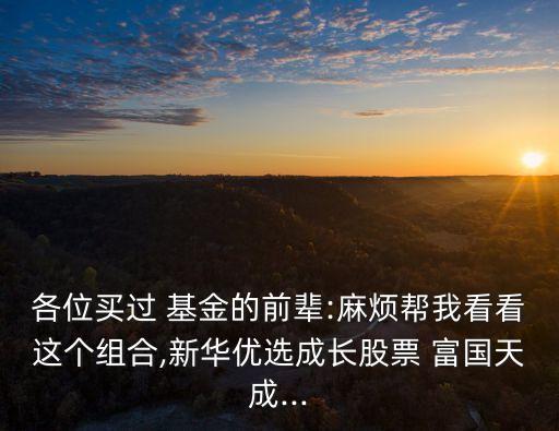 各位買(mǎi)過(guò) 基金的前輩:麻煩幫我看看這個(gè)組合,新華優(yōu)選成長(zhǎng)股票 富國(guó)天成...