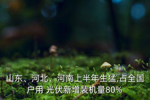 山東、河北、河南上半年生猛,占全國(guó)戶用 光伏新增裝機(jī)量80%