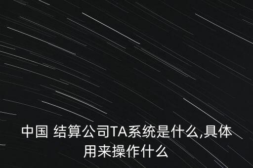 中國結算提供的服務