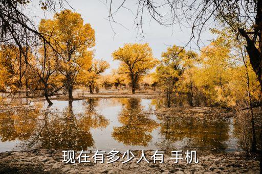中國智能手機(jī)用戶數(shù)據(jù),智能手機(jī)用戶數(shù)據(jù)檢測,會(huì)有那些誤差