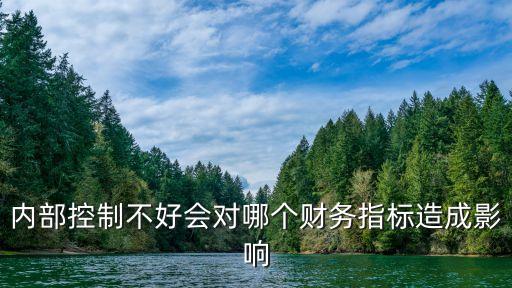 內(nèi)部控制不好會對哪個(gè)財(cái)務(wù)指標(biāo)造成影響