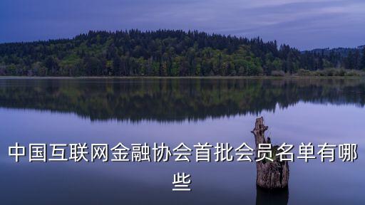 中國互聯(lián)網金融協(xié)會首批會員名單有哪些
