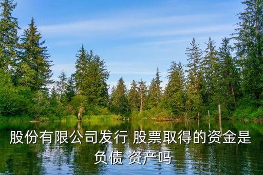 股份有限公司發(fā)行 股票取得的資金是 負債 資產嗎