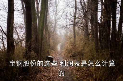  寶鋼股份的這些 利潤表是怎么計(jì)算的