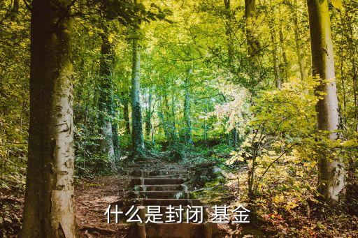 001349基金凈值今天,富國(guó)動(dòng)力001349基金凈值查詢(xún)
