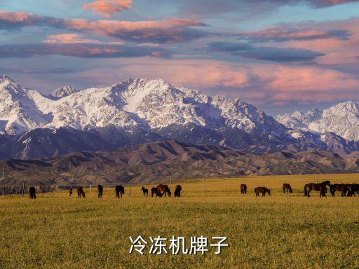 煙臺冰輪制冷空調節(jié)能服務有限公司