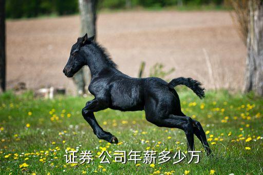 證券公司營業(yè)部總經理待遇