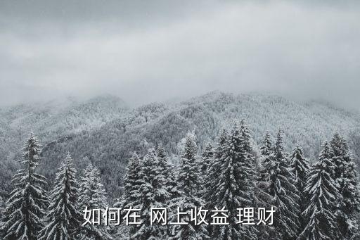 如何在 網上收益 理財