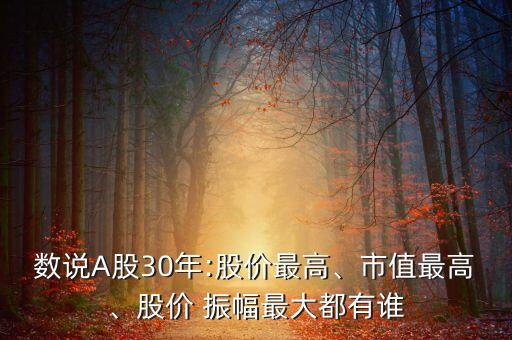 數(shù)說(shuō)A股30年:股價(jià)最高、市值最高、股價(jià) 振幅最大都有誰(shuí)