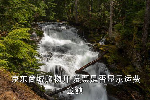  京東商城購(gòu)物開(kāi) 發(fā)票是否顯示運(yùn)費(fèi)金額