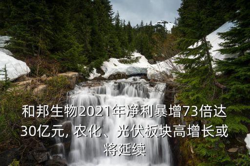和邦生物2021年凈利暴增73倍達(dá)30億元, 農(nóng)化、光伏板塊高增長或?qū)⒀永m(xù)