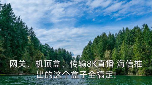 網(wǎng)關、機頂盒、傳輸8K直播 海信推出的這個盒子全搞定!