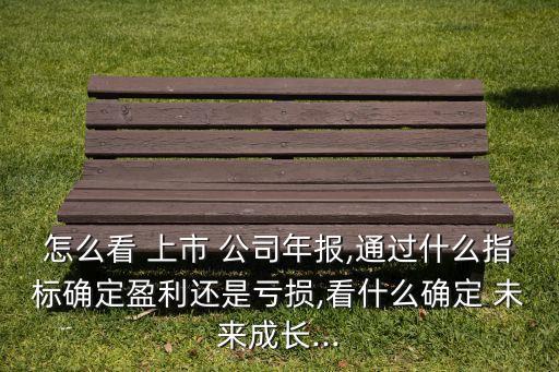 怎么看 上市 公司年報,通過什么指標(biāo)確定盈利還是虧損,看什么確定 未來成長...
