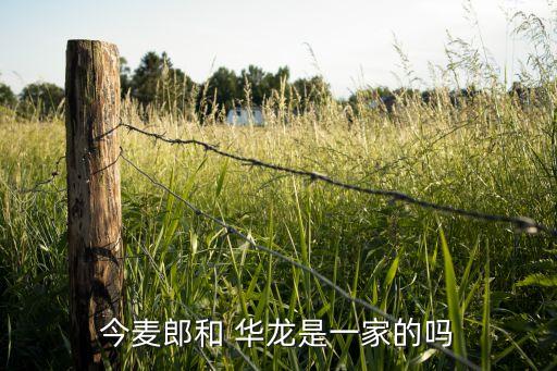 河北華龍集團(tuán)更名過(guò)程,華龍集團(tuán)為什么從河北開(kāi)始