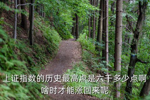上證指數(shù)的歷史最高點(diǎn)是六千多少點(diǎn)啊啥時(shí)才能漲回來(lái)呢