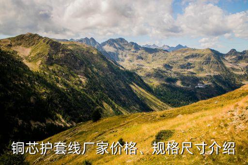 銅芯護(hù)套線廠家價(jià)格、規(guī)格尺寸介紹