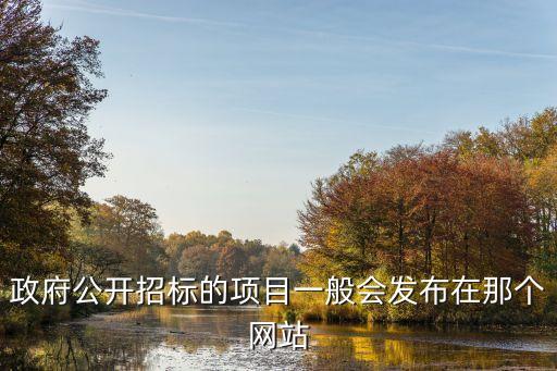 政府公開招標(biāo)的項目一般會發(fā)布在那個網(wǎng)站
