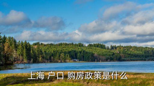  上海 戶(hù)口 購(gòu)房政策是什么
