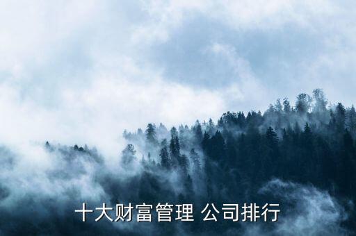 十大財富管理 公司排行