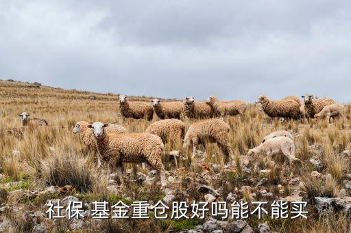 社保基金持股,a股社?；鸪止?/></a></span><span id=