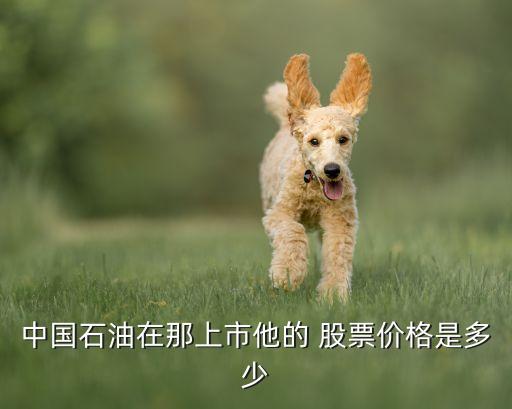 中國石油在那上市他的 股票價(jià)格是多少